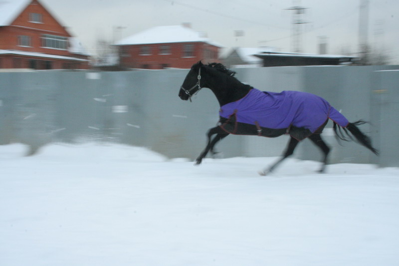 IMG_1521.jpg1.jpg"%20height="533"%20width="800